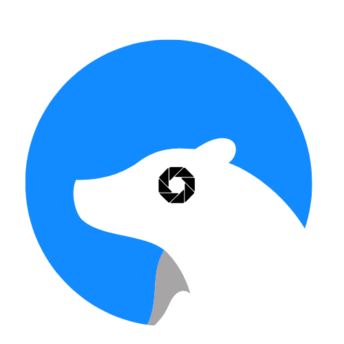 PolarStock Logo